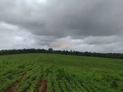 Fazenda para Venda em Araguari/MG Área Rural de Araguari