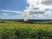 Fazenda para Venda em Araxá/MG Alvorada