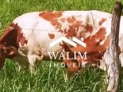 Fazenda para Venda em Baldim/MG Zona Rural 3 Quartos