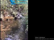 Fazenda para Venda em Barbacena/MG Área Rural de...
