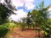 Fazenda para Venda em Barcarena/PA Vila dos Cabanos