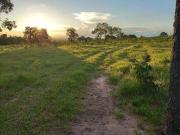 Fazenda para Venda em Barra do Garças/MT Zona Rural
