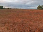 Fazenda para Venda em Barra do Garças/MT Zona Rural