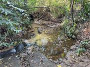 Fazenda para Venda em Bauru/SP Rio Verde 1 Quartos