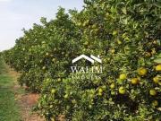 Fazenda para Venda em Belo Horizonte/MG Área Rural de...