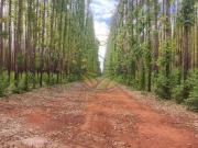 Fazenda para Venda em Belo Horizonte/MG Centro