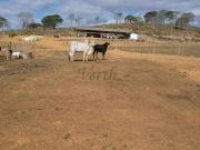 Fazenda para Venda em Belo Horizonte/MG Centro 9 Quartos