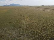 Fazenda para Venda em Boa Vista/RR Centro