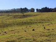 Fazenda para Venda em Botucatu/SP Zona Rural 1 Quartos