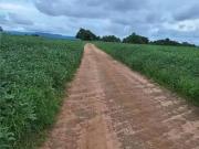 Fazenda para Venda em Brejinho de Nazaré/TO Zona Rural