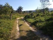 Fazenda para Venda em Cachoeira da Prata/MG Zona Rural 2...