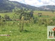 Fazenda para Venda em Caldas/MG Centro