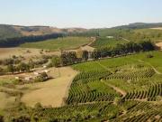 Fazenda para Venda em Campanha/MG Centro 5 Quartos