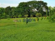 Fazenda para Venda em Campinas/SP Joaquim Egídio 2 Quartos