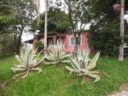 Fazenda para Venda em Campinas/SP Joaquim Egídio 2 Quartos
