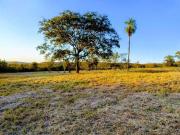 Fazenda para Venda em Campo Grande/MS Vila Progresso