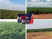 Fazenda para Venda em Campo Grande/MS Zona Rural