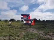 Fazenda para Venda em Campo Grande/MS Zona Rural