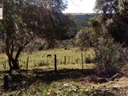 Fazenda para Venda em Capão Alto São Francisco de Paula RS