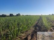 Fazenda para Venda em Capela do Alto/SP Centro
