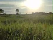 Fazenda para Venda em Cariri do Tocantins/TO Zona Rural