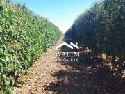 Fazenda para Venda em Carmo de Minas/MG Zona Rural 3 Quartos
