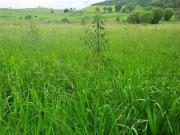 Fazenda para Venda em Carmo de Minas/MG Zona Rural 4 Quartos