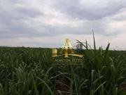 Fazenda para Venda em Casa Branca/SP Zona Rural 1 Quartos