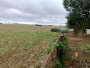 Fazenda para Venda em Cascavel/PR Cataratas 5 Quartos