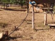 Fazenda para Venda em Cavalcante/GO Zona Rural