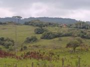 Fazenda para Venda em Caxias do Sul/RS Zona Rural 3 Quartos