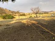 Fazenda para Venda em Cezarina/GO Zona Rural