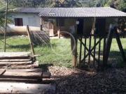 Fazenda para Venda em Cocalzinho de Goiás/GO Zona Rural