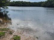 Fazenda para Venda em Cocalzinho de Goiás/GO Zona Rural...