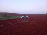 Fazenda para Venda em Cornélio Procópio/PR Zona Rural 3...