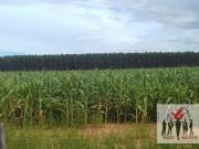 Fazenda para Venda em Cuiabá/MT Centro Sul