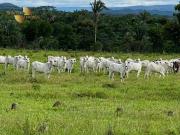 Fazenda para Venda em Cuiabá/MT Zona Rural