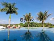 Fazenda para Venda em Delfinópolis/MG Centro 4 Quartos