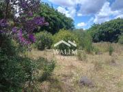 Fazenda para Venda em Desterro de Entre Rios/MG Zona...