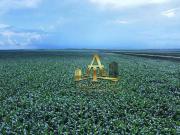 Fazenda para Venda em Diamantino/MT Zona Rural 1 Quartos