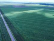 Fazenda para Venda em Diamantino/MT Zona Rural