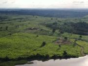 Fazenda para Venda em Divinópolis do Tocantins/TO Zona Rural