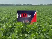 Fazenda para Venda em Dois Irmãos do Tocantins/TO Zona Rural