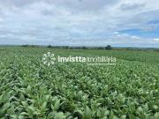 Fazenda para Venda em Dois Irmãos do Tocantins/TO Zona Rural