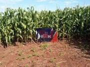 Fazenda para Venda em Dourados/MS Zona Rural
