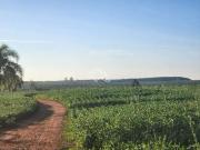 Fazenda para Venda em Eldorado do Sul/RS Parque Guaíba