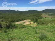Fazenda para Venda em Eldorado/SP Zona Rural