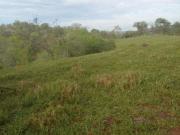 Fazenda para Venda em Esmeraldas, rural, 4 dormitórios,...