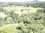 Fazenda para Venda em Esmeraldas/MG Caio Martins 6 Quartos