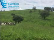 Fazenda para Venda em Estrela do Sul/MG Zona Rural